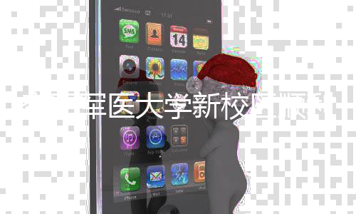 军医计划年整工 体搬新校利竣大学空军区顺迁