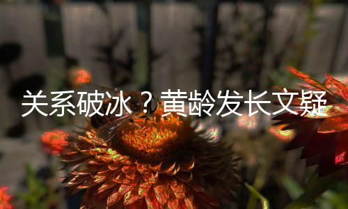不加解释宁静关系龄发微信破冰疑似原因黄长文