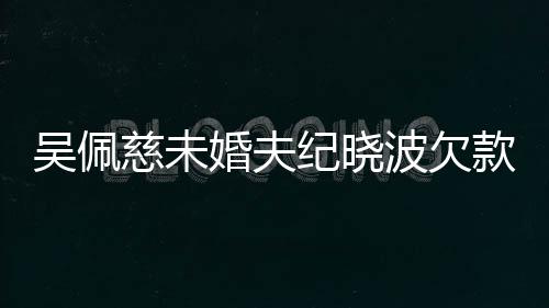 波欠被告纪晓庭吴佩款1亿未婚夫还 上法慈未