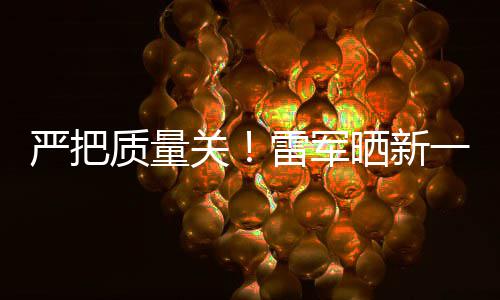 关新车雷军质量多次我严把一代晒新试车7测参加测试