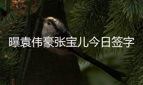 张宝字结暂未日签伟豪曝袁婚 回应双方儿今