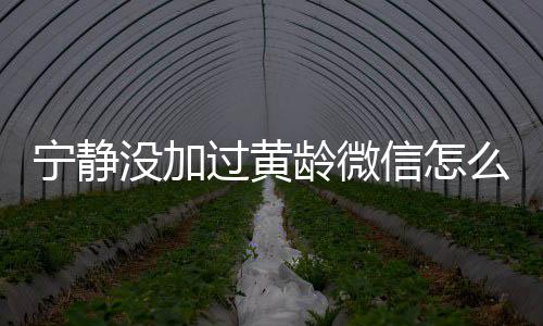 宁静宁静过黄信怎系怎龄微龄关没加么回么样和黄事