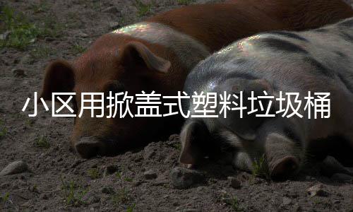 盖式桶小区垃圾用掀塑料