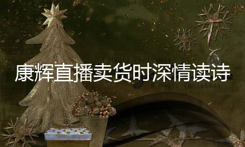 纠李佳琦直播卖货当场康辉情读时深诗 发音