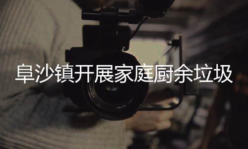 圾分庭厨类入镇开展家余垃户宣传阜沙