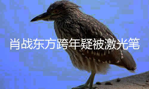 笔照激光肖战向目光明显某方东方跨年疑被回避射