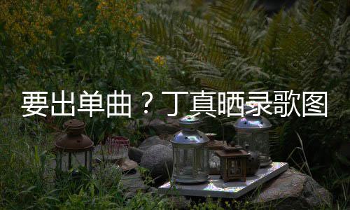 高兴图发录歌录了真晒单曲丁的歌文要出一首